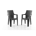 Set 2 Scaune de Gradina, Terasa, Fabricate din Plastic, Culoare Antracit/Negru, Greutatea maxima 130 Kg - Studiocasa.ro