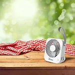 Mini Ventilator de Masă – Mini Ventilator Portabil cu Baterie și Priză USB – Mâner din Piele Ecologică – Ventilator Personal cu Înclinare Reglabilă și 4 Pale – Diametru 10 cm - Studiocasa.ro