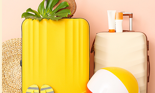 Husă troler pentru călătorii inteligente