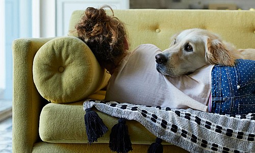 Canapele extensibile pentru dormit zilnic