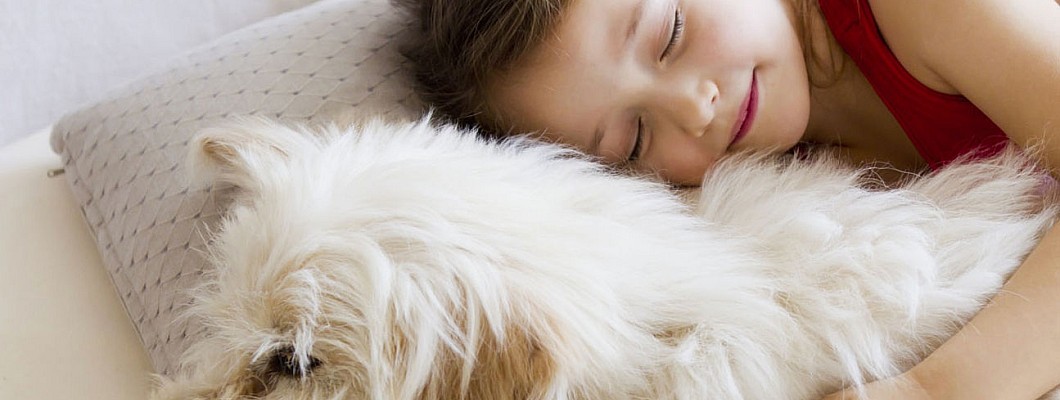 Cum aleg cea mai bună canapea extensibilă cu 3 locuri?