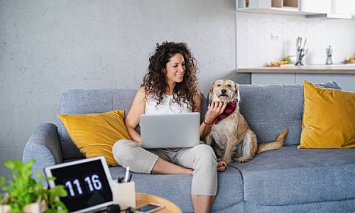 Cele mai bune piese de mobilier pentru locuință: canapelele extensibile și colțarele extensibile