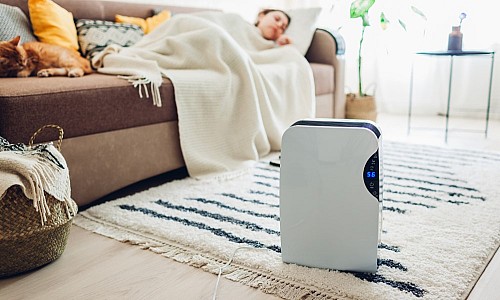Cel mai bun dezumidificator - TOP 3 motive pentru care sa tii cont de calitatea sa!